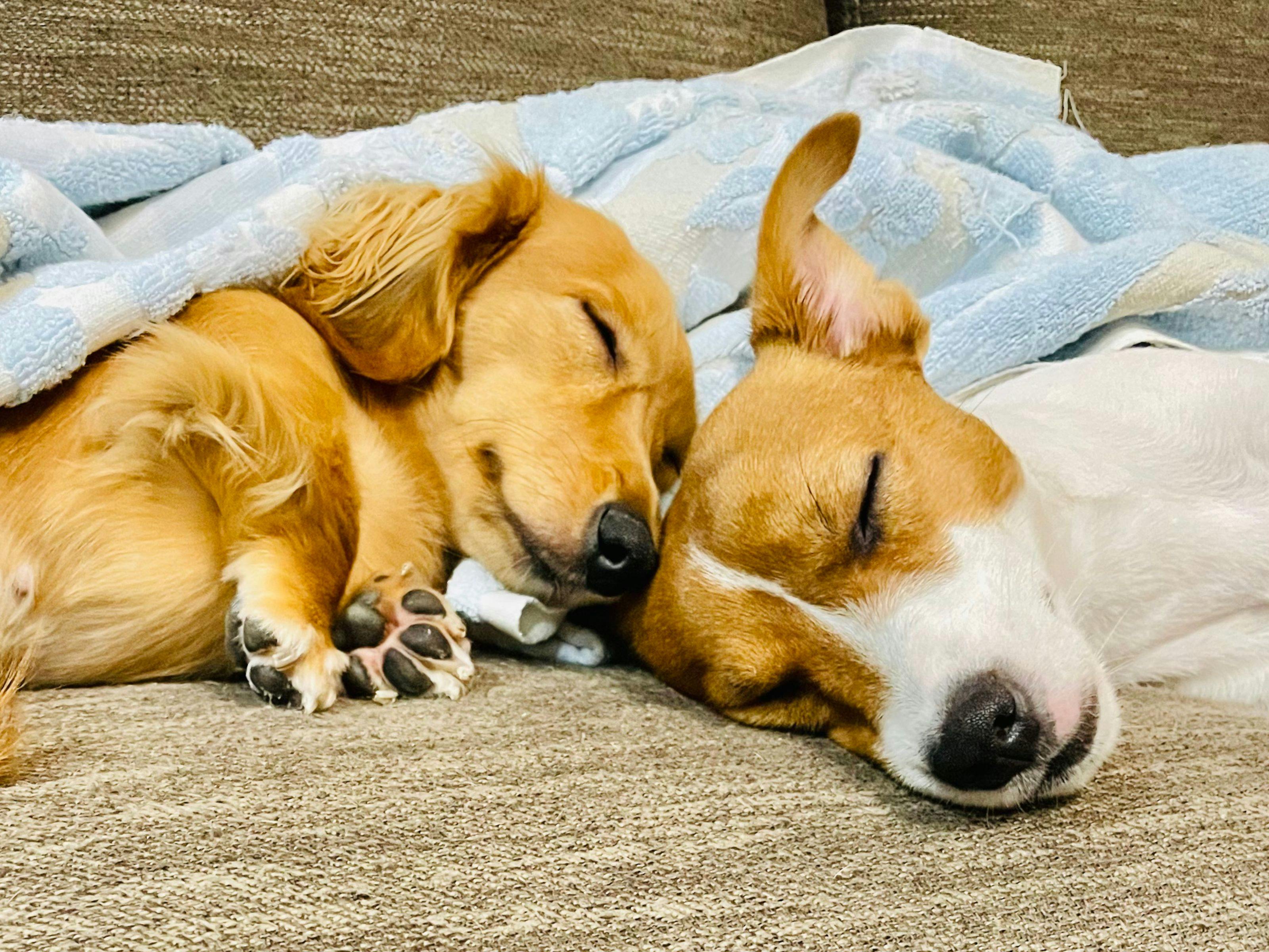 ホテル・ラ・ジェント・プラザ函館北斗