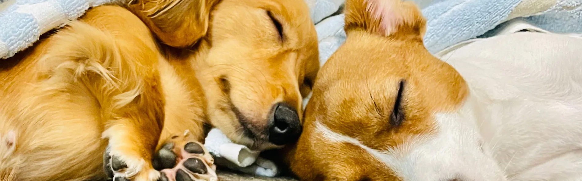 ホテル・ラ・ジェント・プラザ函館北斗