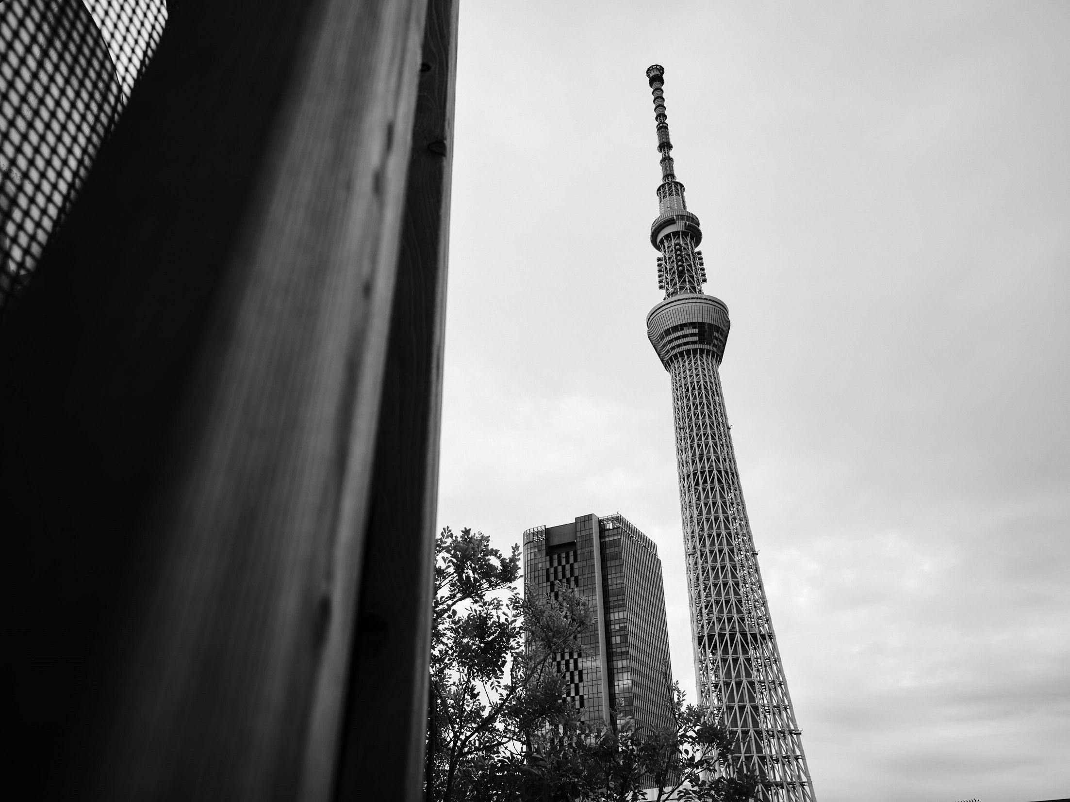 ONE＠Tokyo by insomnia