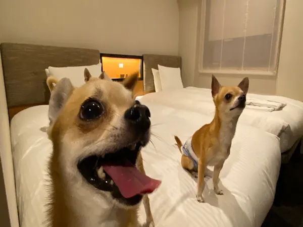 ウェルカムホテルとしてリブランドOPEN♪