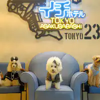 わんちゃんと泊まれるホテル!