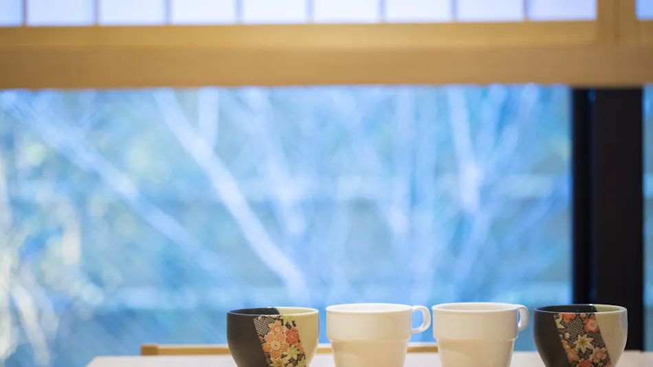 Natural Hot Spring Renge no Yu Onyado Nono Kyoto Shichijo (Dormy Inn Chain)
