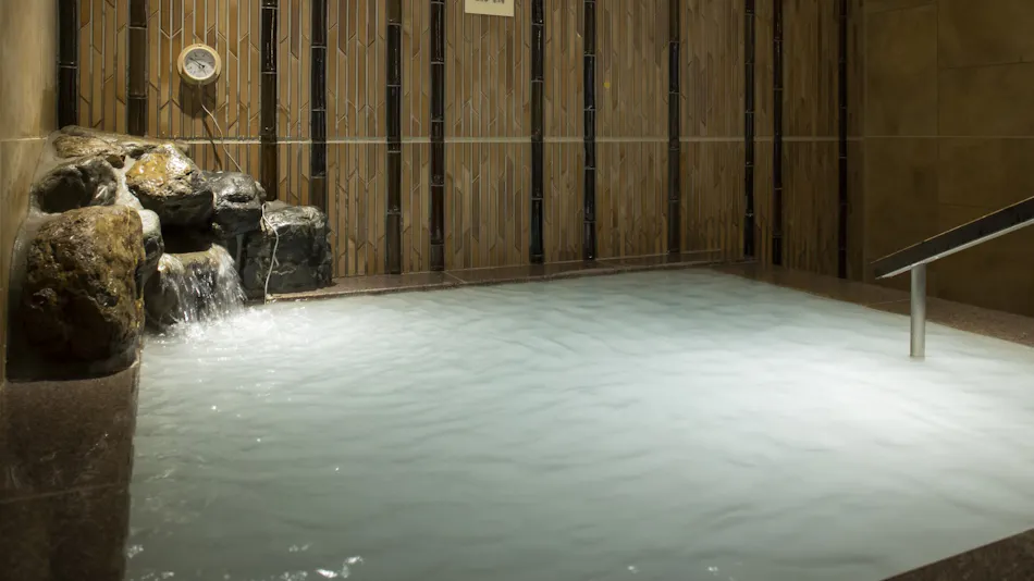 Natural Hot Spring Renge no Yu Onyado Nono Kyoto Shichijo (Dormy Inn Chain)