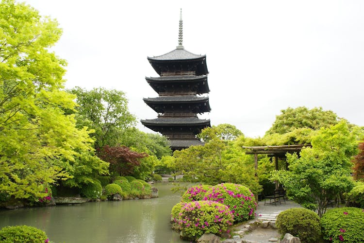 京都プラザホテル京都駅南 宿泊予約なら Yahoo トラベル 京都プラザホテル京都駅南 宿泊予約なら Yahoo トラベル