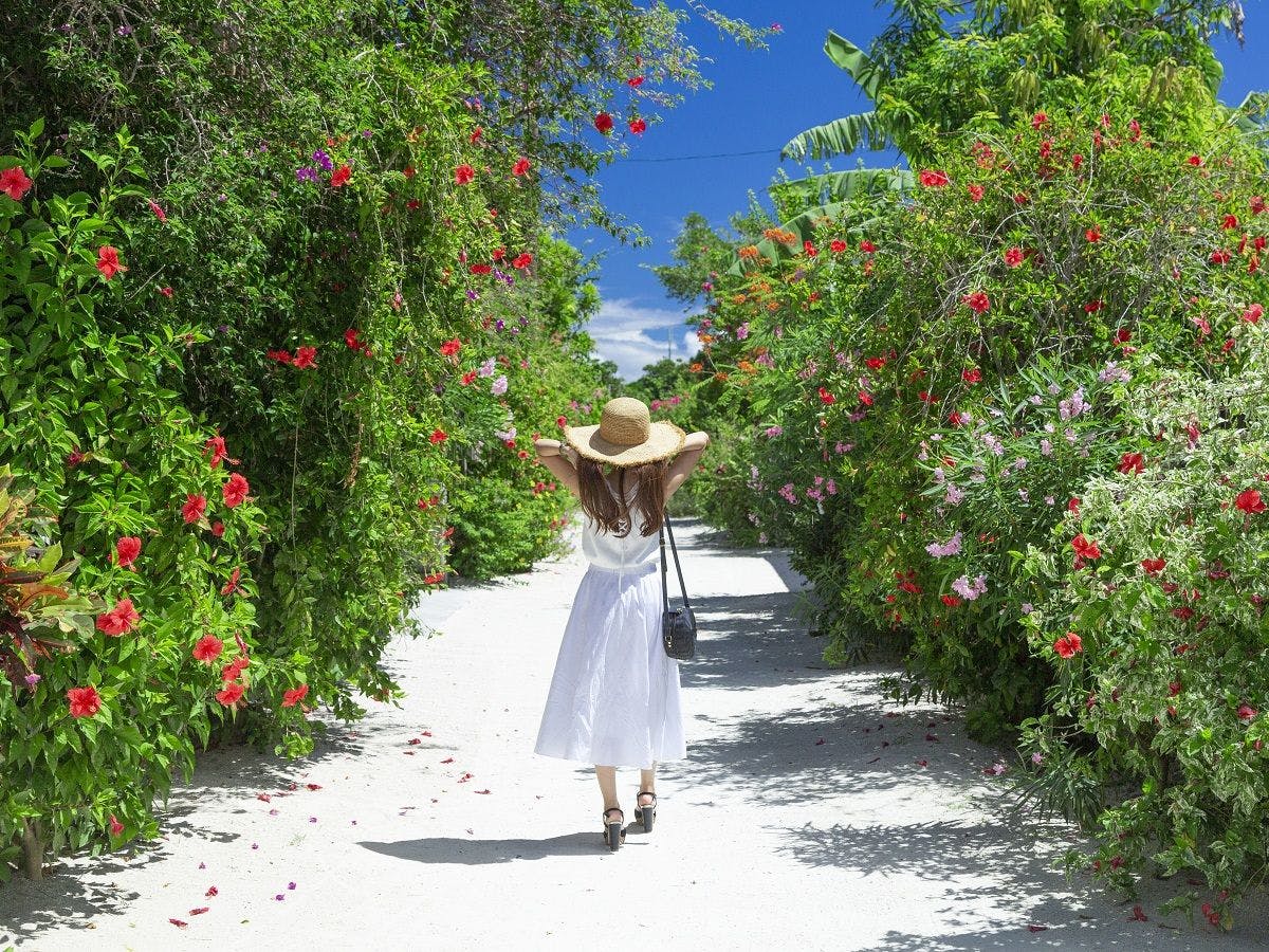 のんびりゆったりの島時間