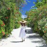 のんびりゆったりの島時間