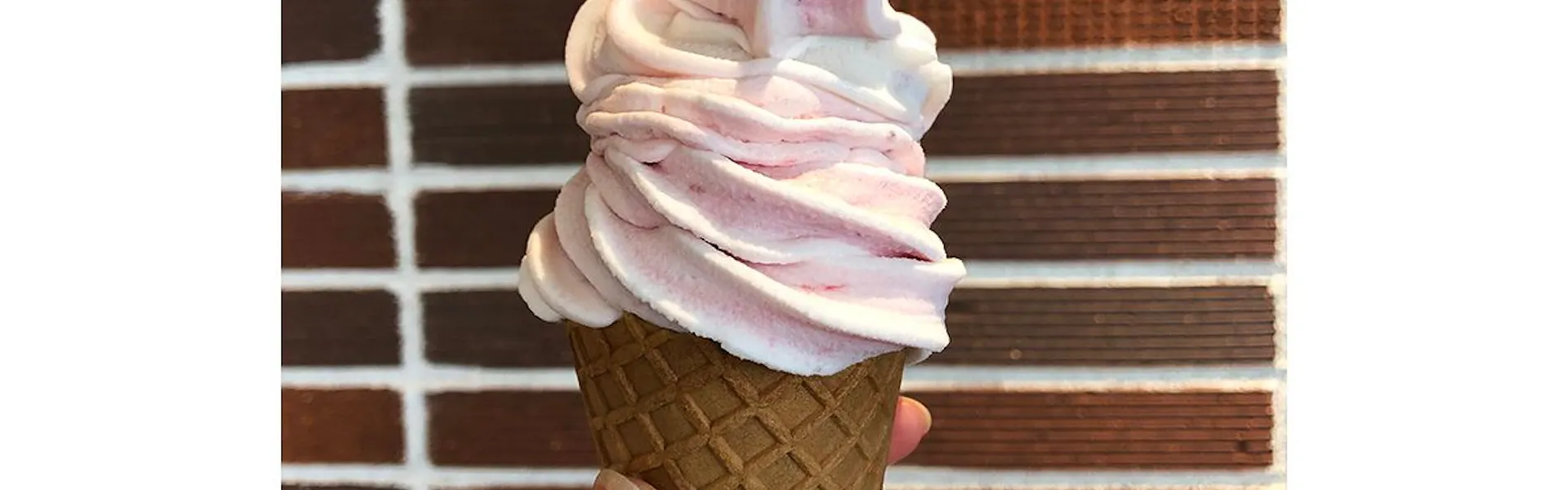 東急ステイ函館朝市 灯の湯(あかりのゆ)