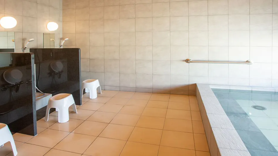Kuretake Inn Premium Fukuroi Ekimae