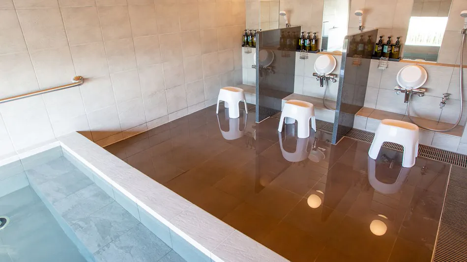 Kuretake Inn Premium Fukuroi Ekimae