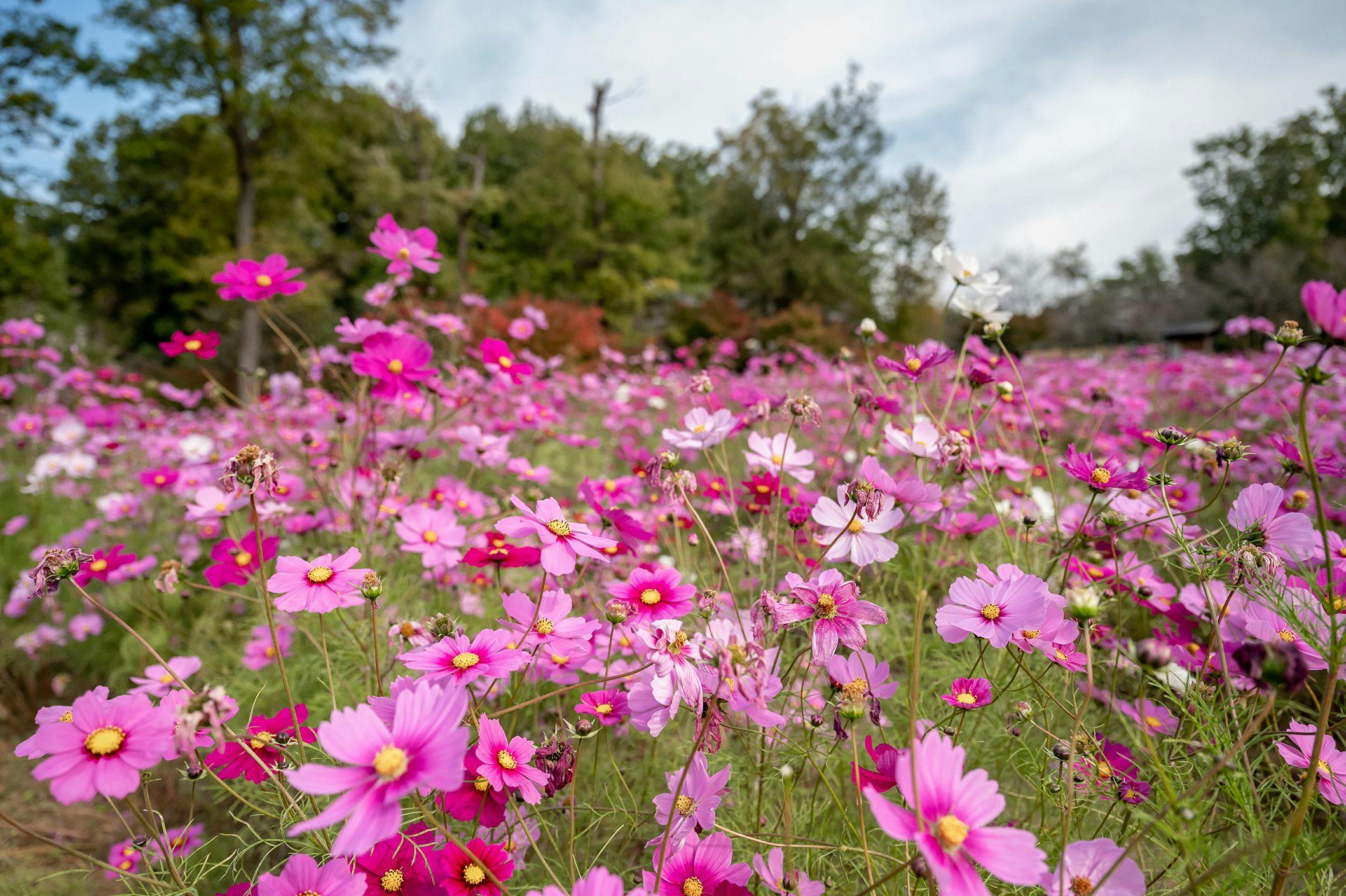 ぎふ清流里山公園