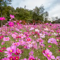 ぎふ清流里山公園