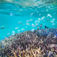 ◆シュノーケリングを宮古島で体験!