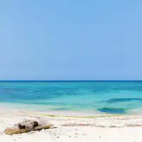 【ชายหาดใกล้เคียง】สวนสาธารณะซุนาเบะบาบะ ขับรถ 3 นาที