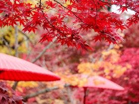 コンフォートイン京都四条烏丸
