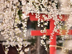 コンフォートイン京都四条烏丸