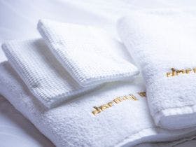 天然温泉　つつじの湯　ドーミーインＥＸＰＲＥＳＳ豊橋