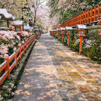 八坂神社参道(春)