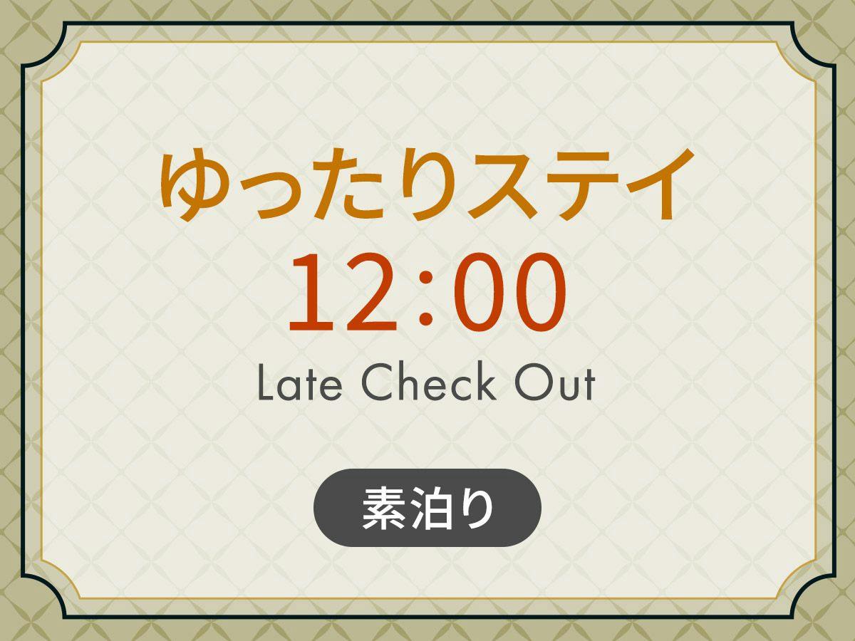 ゆったりステイ　12：00アウトプラン　＜ 素泊り ＞