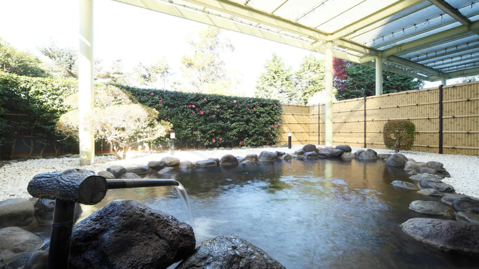 Nogi Onsen Hotel