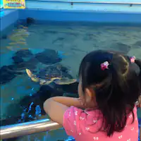 GW特別プラン