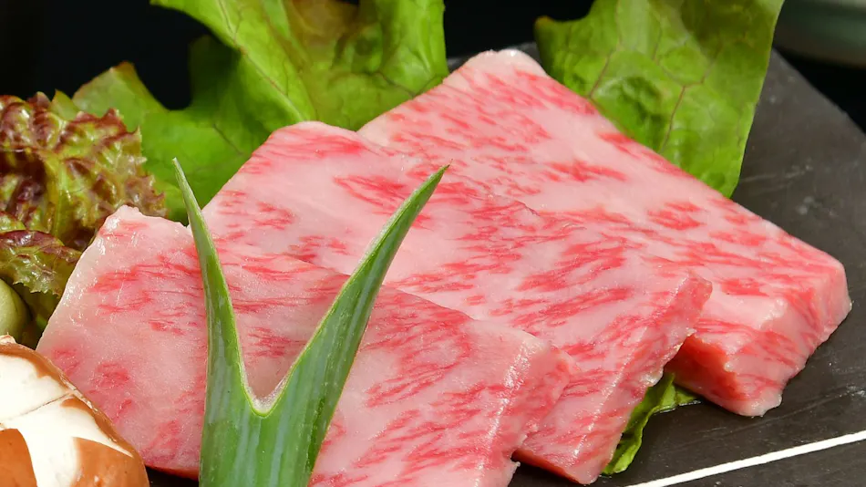 Hotel Kusakabe Armeria