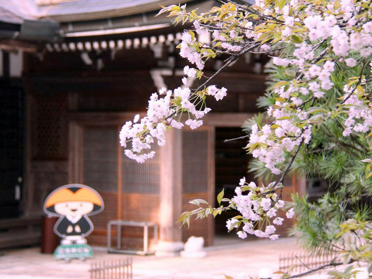 Shukubo Saimon-in