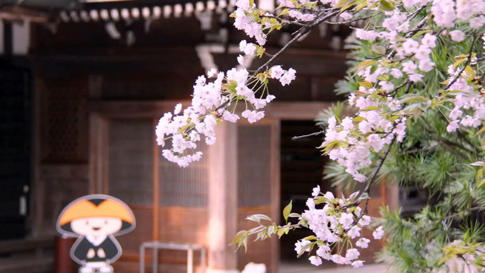 Shukubo Saimon-in