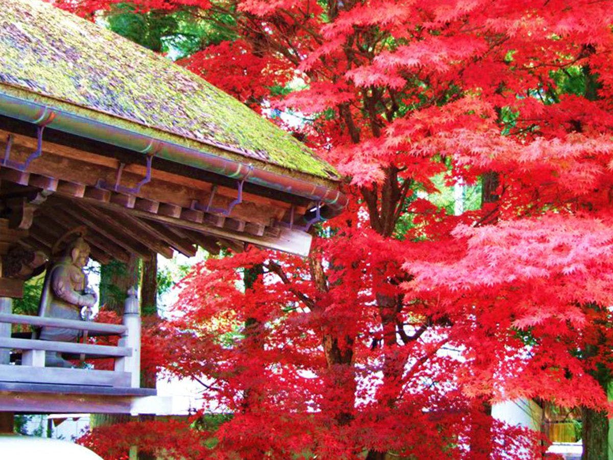 Shukubo Saimon-in