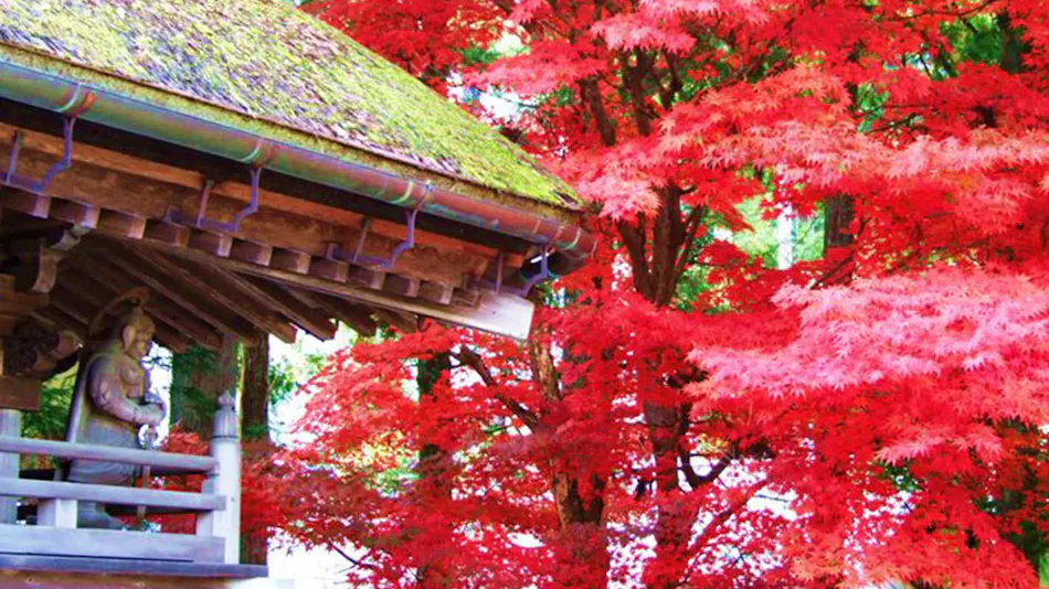 Shukubo Saimon-in