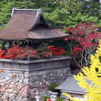 現在仍然報時。