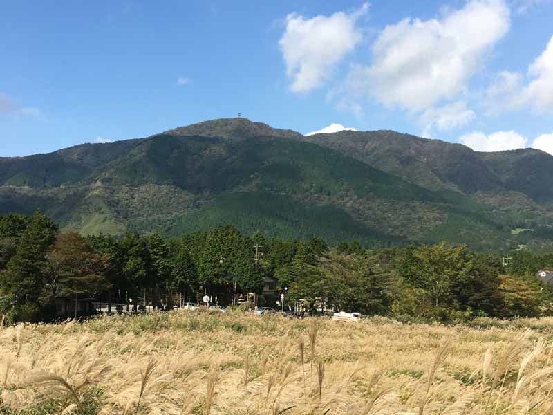 *【บริเวณใกล้เคียง】ทุ่งหญ้าซุซูกิ เซนโกคุฮาระ