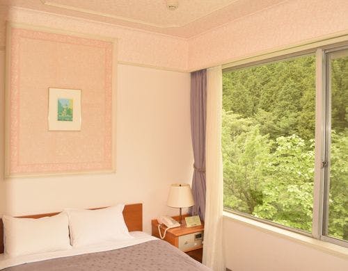 （セミダブル・ベッド１台）