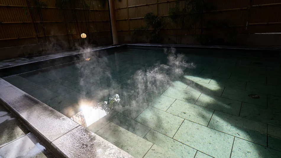 Nikko Station Hotel Classic