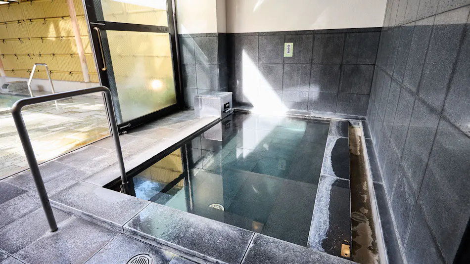 Nikko Station Hotel Classic