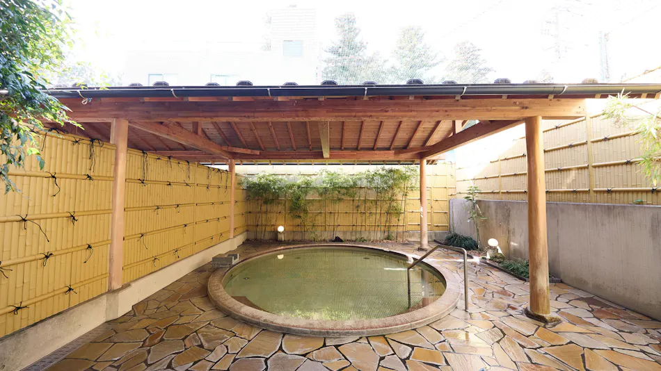 Nikko Station Hotel Classic
