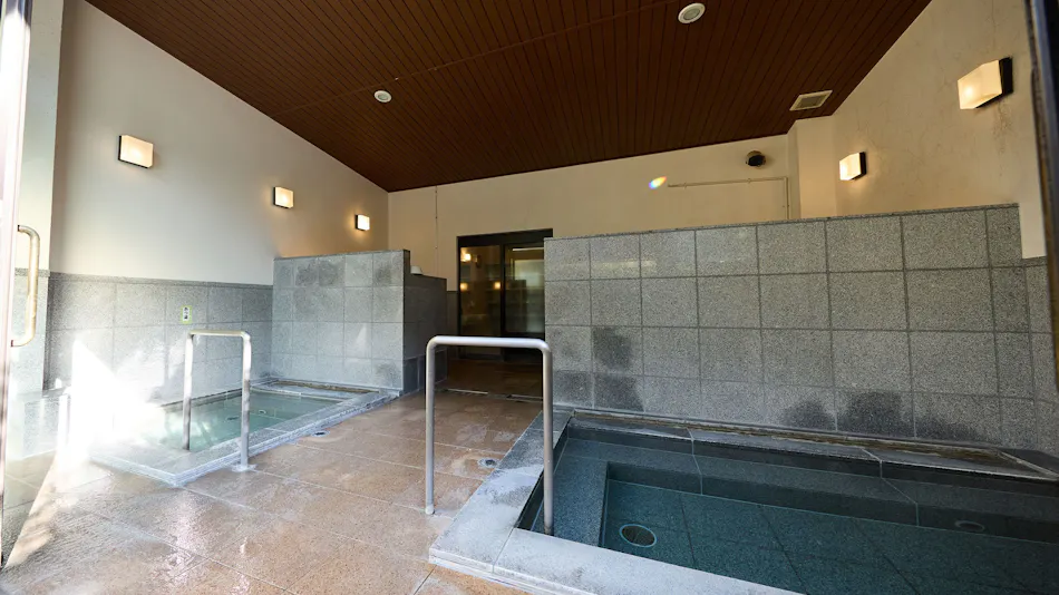 Nikko Station Hotel Classic