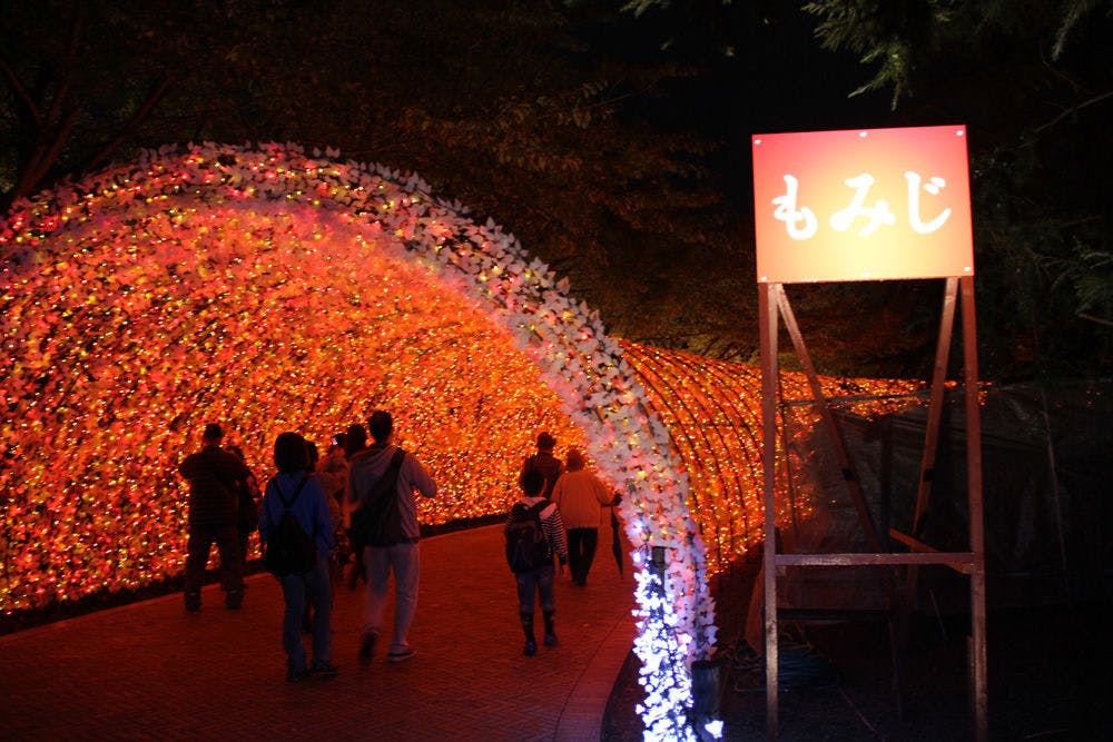 Illumination Nabana no Sato