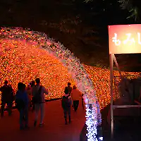 Illumination Nabana no Sato