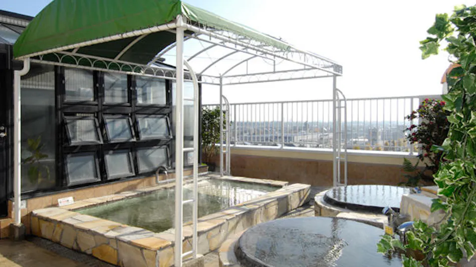 Natural Hot Spring Hotel Livemax BUDGET Kofu