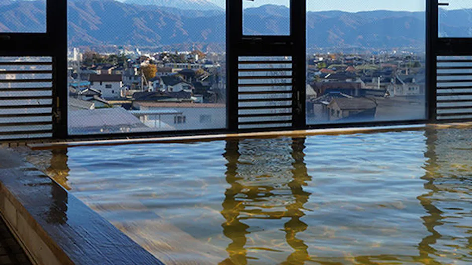 Natural Hot Spring Hotel Livemax BUDGET Kofu