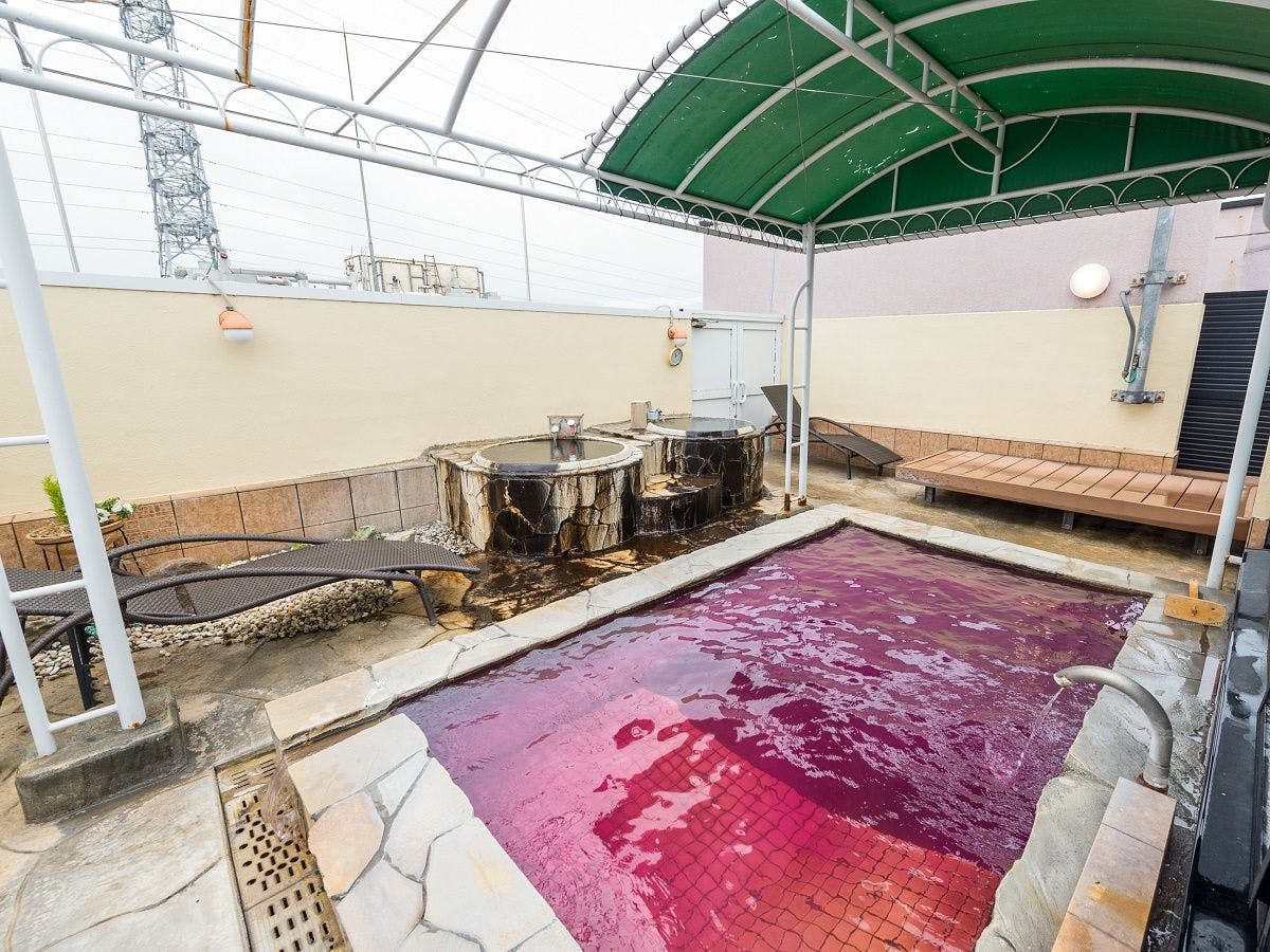 Natural Hot Spring Hotel Livemax BUDGET Kofu