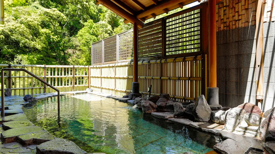 Hakone Pax Yoshino