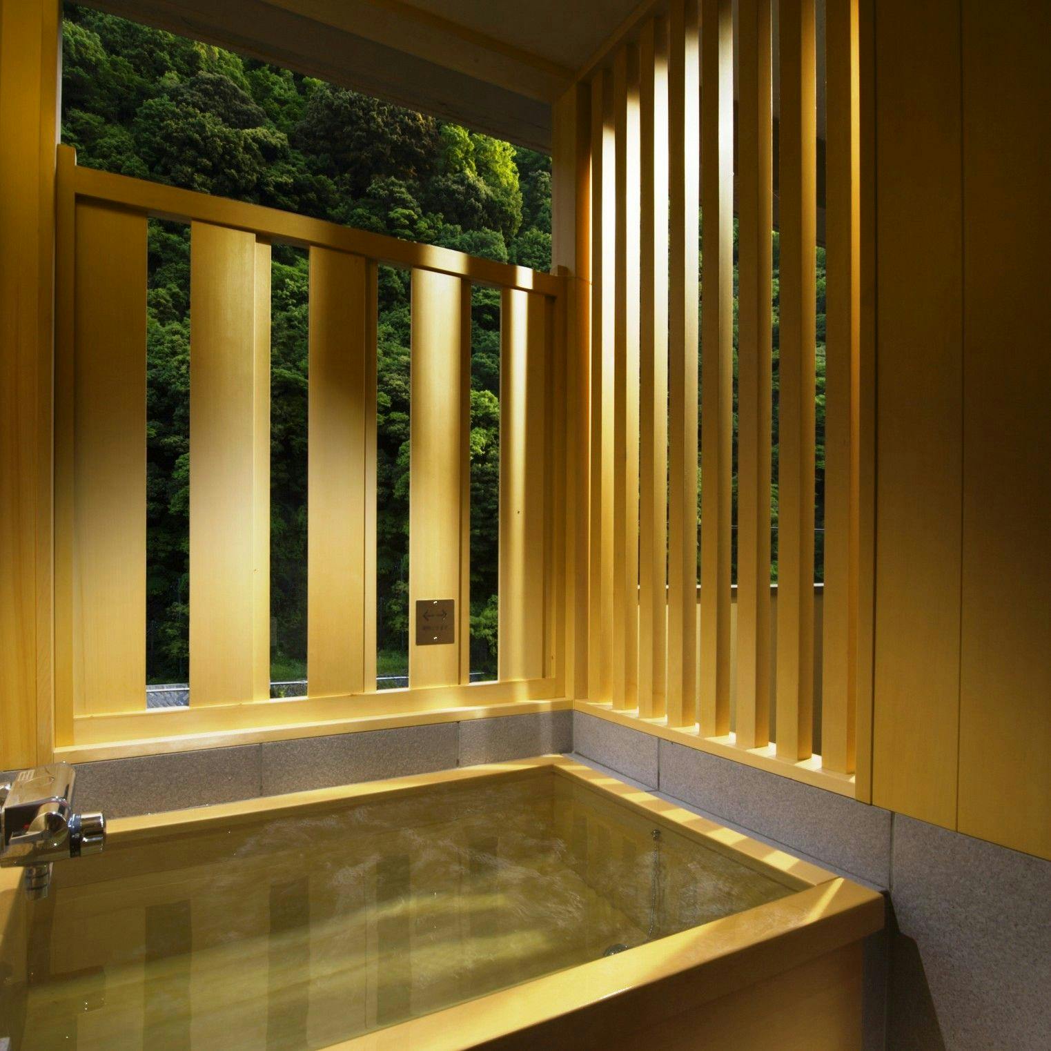 Hakone Pax Yoshino