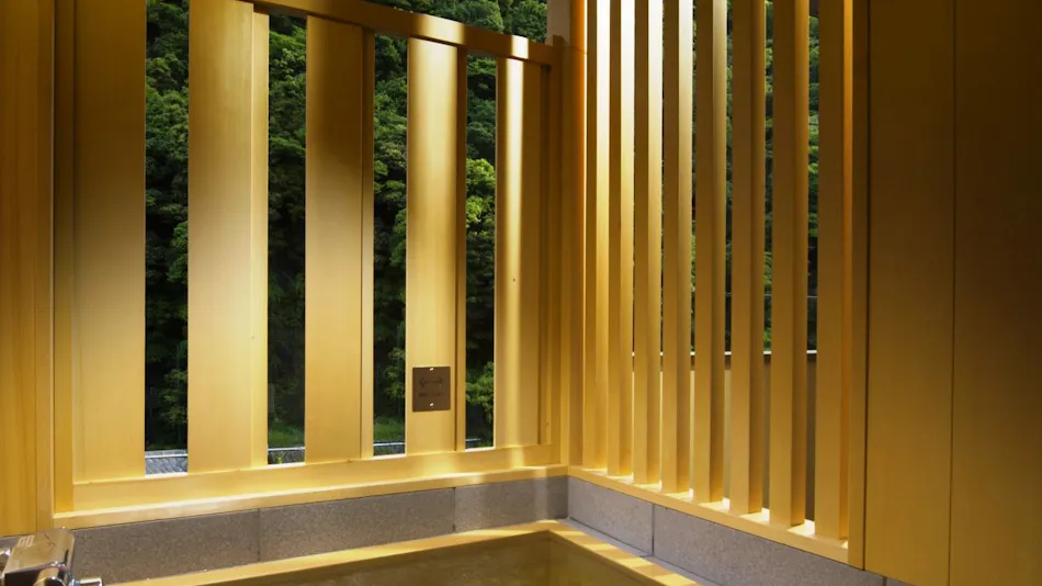 Hakone Pax Yoshino