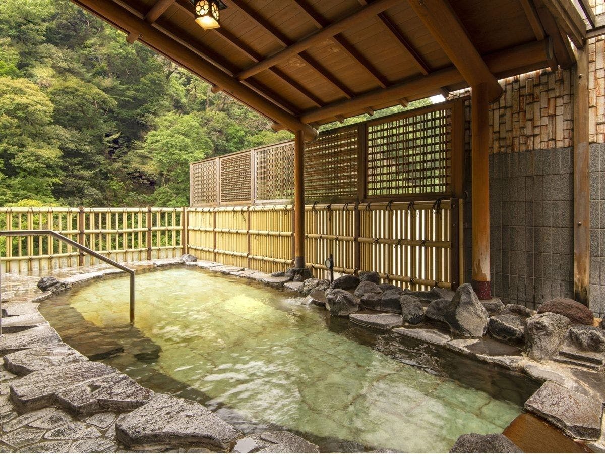 Hakone Pax Yoshino
