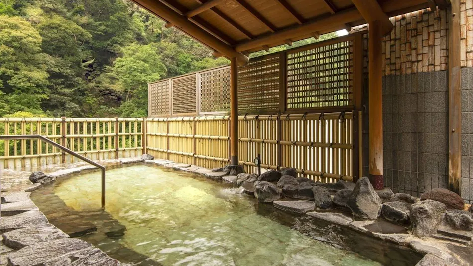 Hakone Pax Yoshino