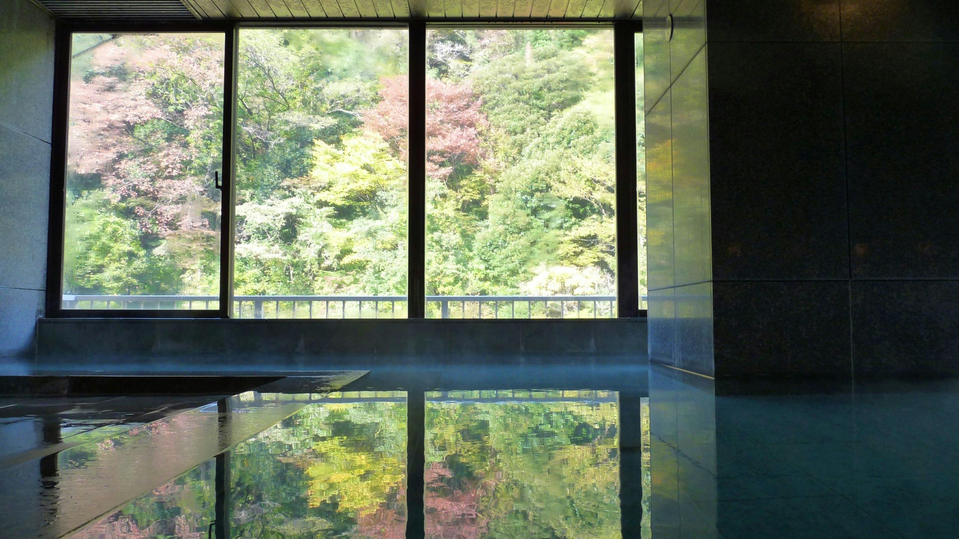 Hakone Pax Yoshino
