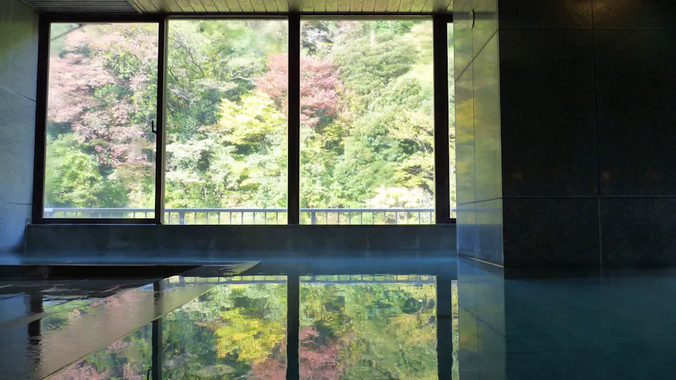 Hakone Pax Yoshino