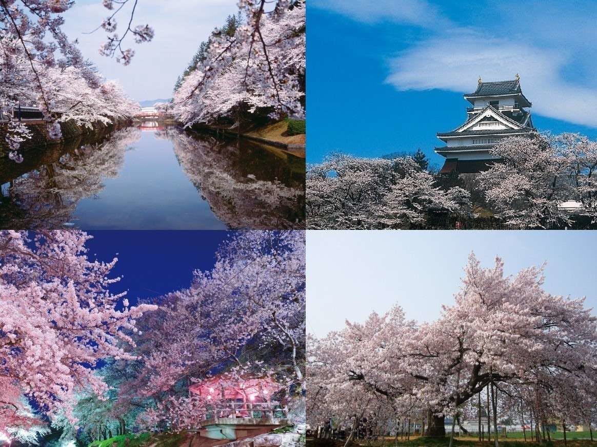 ใกล้ๆ มีสถานที่ชมซากุระที่มีชื่อเสียงมากมาย!