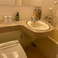 Kamar mandi unit (toilet dan shower dalam satu ruangan)